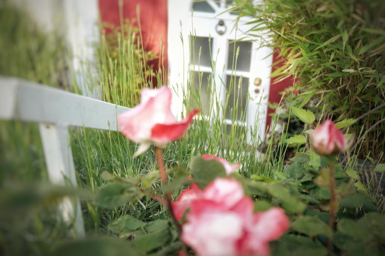 "Gemuetlich" 1-Zimmer Apartment Nah Am Wald マインツ エクステリア 写真
